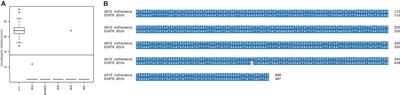 Integrative Analysis of Whole Genome Sequencing and Phenotypic Resistance Toward Prediction of Trimethoprim-Sulfamethoxazole Resistance in Staphylococcus aureus